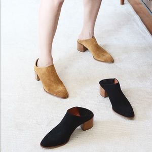 Everlane suede heel mule